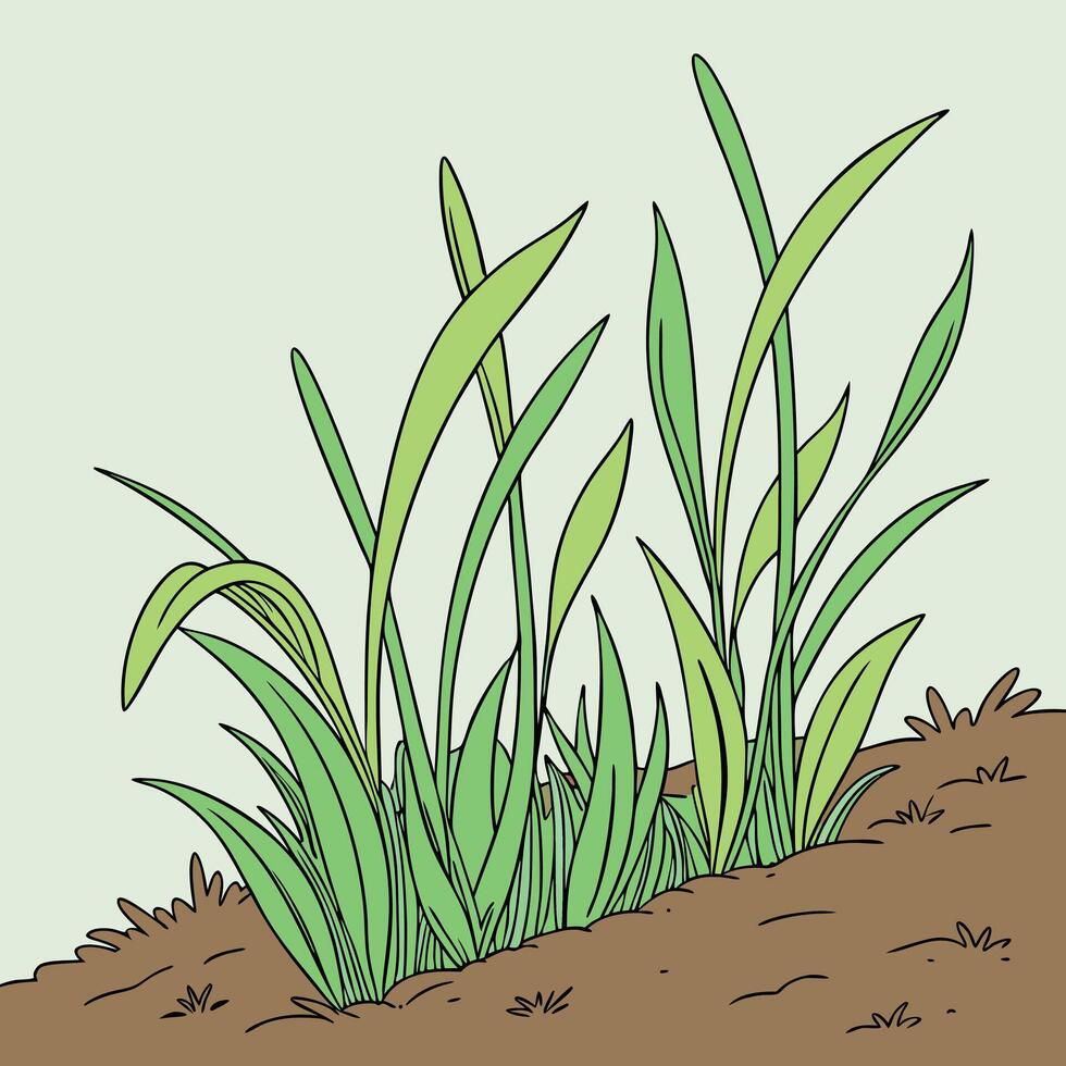 How to grow grass in a pot vector