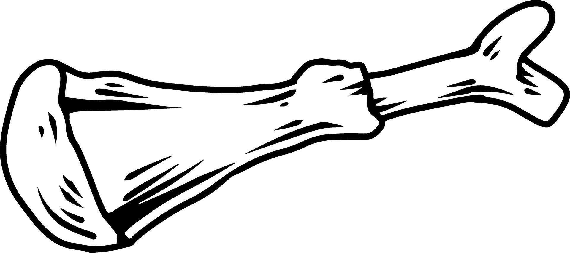 Chicken bone line drawing illustration vector