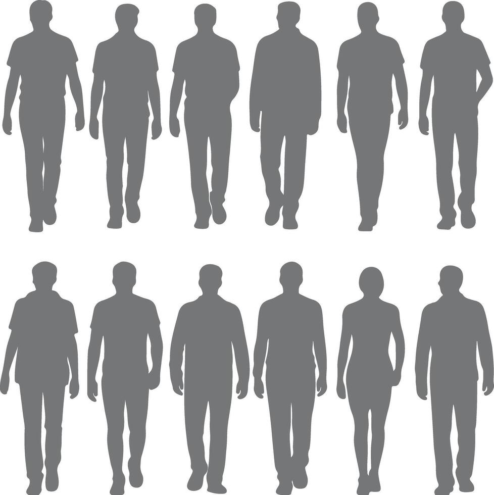 Twelve Grey Silhouettes of People Walking Forward and One Woman Walking Forward a Collection of Human Figure Silhouettes in a Simple Style vector