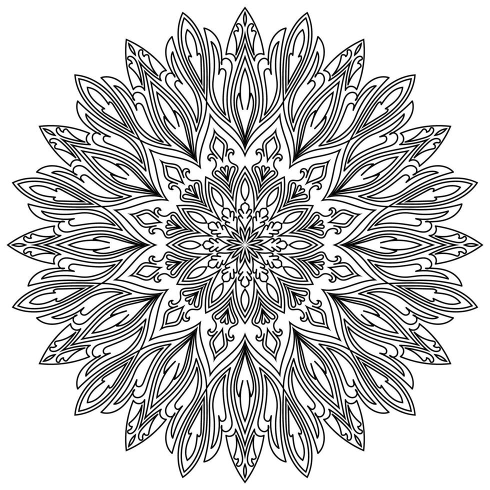 Mandala Flower Petals, Line Drawing, Sketchbook Components vector