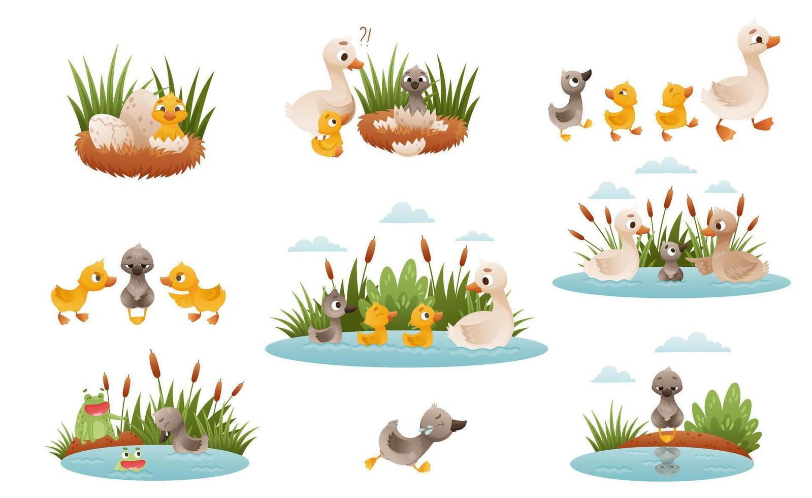 Ugly duckling fairy tale. Duckling is born into family of geese cartoon illustration vector