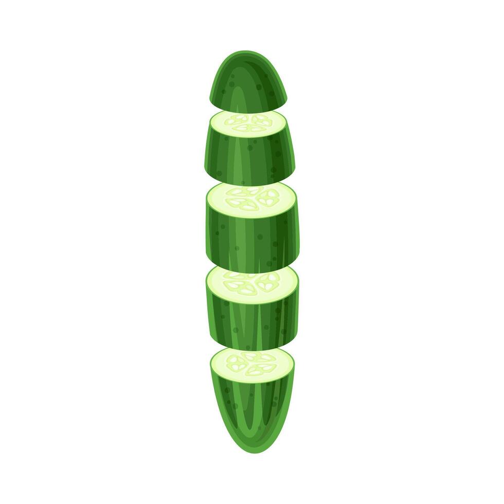 Cucumber slices lying in vertical row. Healthy organic vegetable illustration vector