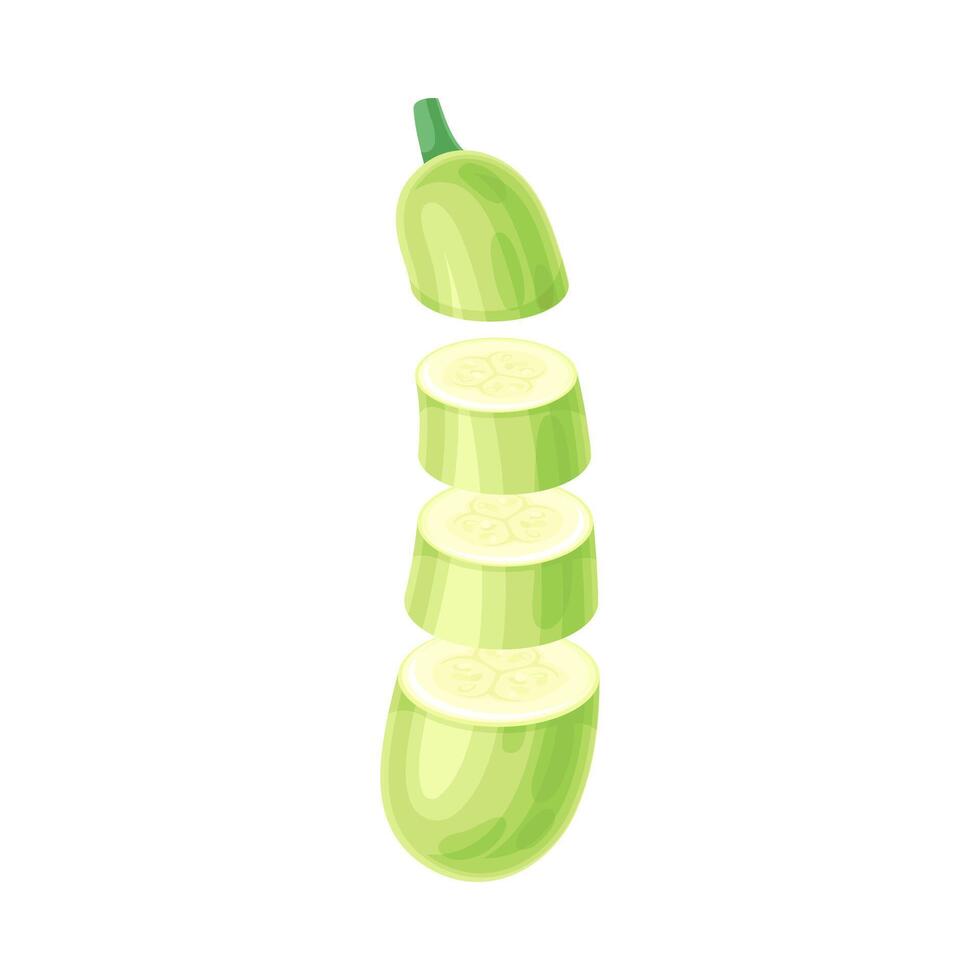 Zucchini slices lying in vertical row. Healthy organic vegetable illustration vector