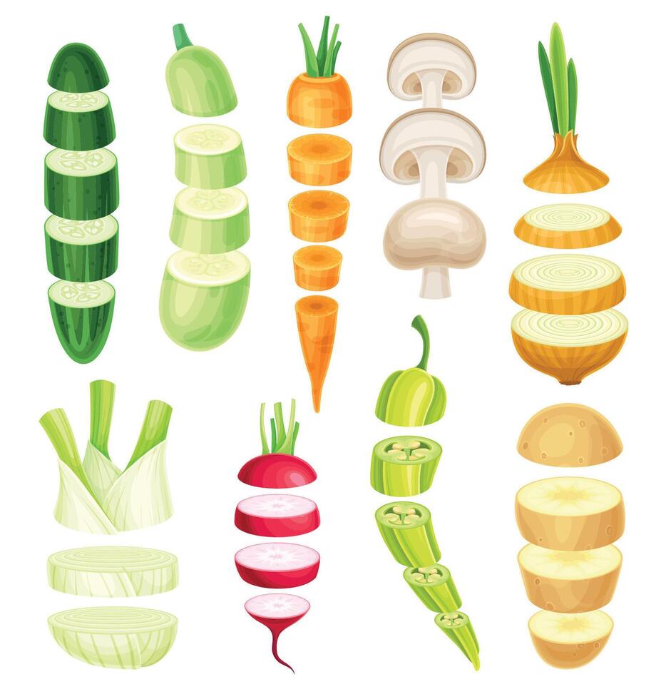 Set of vegetable slices lying in vertical rows. Healthy organic cutting potato, pepper, zucchini, onion, champignon, carrot, mushroom, radish illustration vector