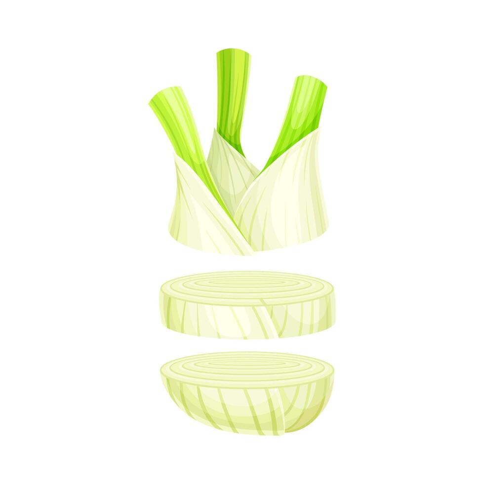 Slices lcelery ying in vertical row. Healthy organic vegetable illustration isolated on white background vector