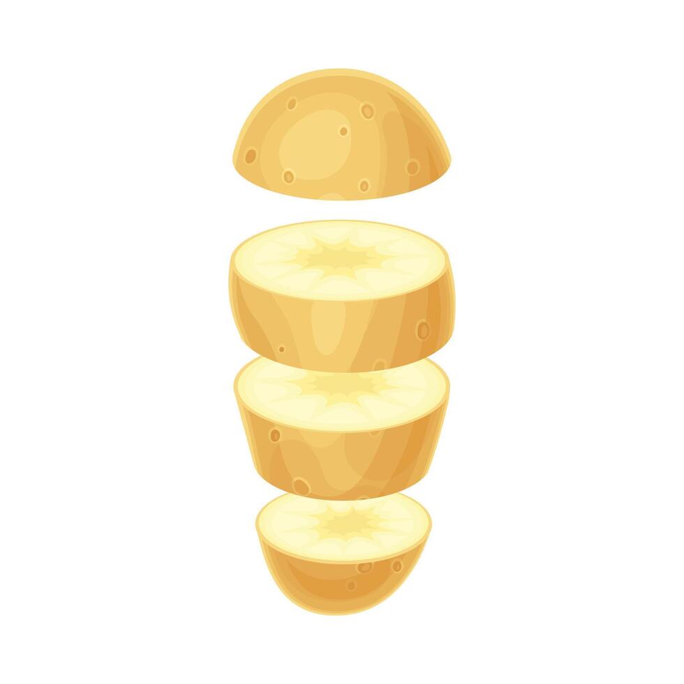 Potato slices lying in vertical row. Healthy organic vegetable illustration vector