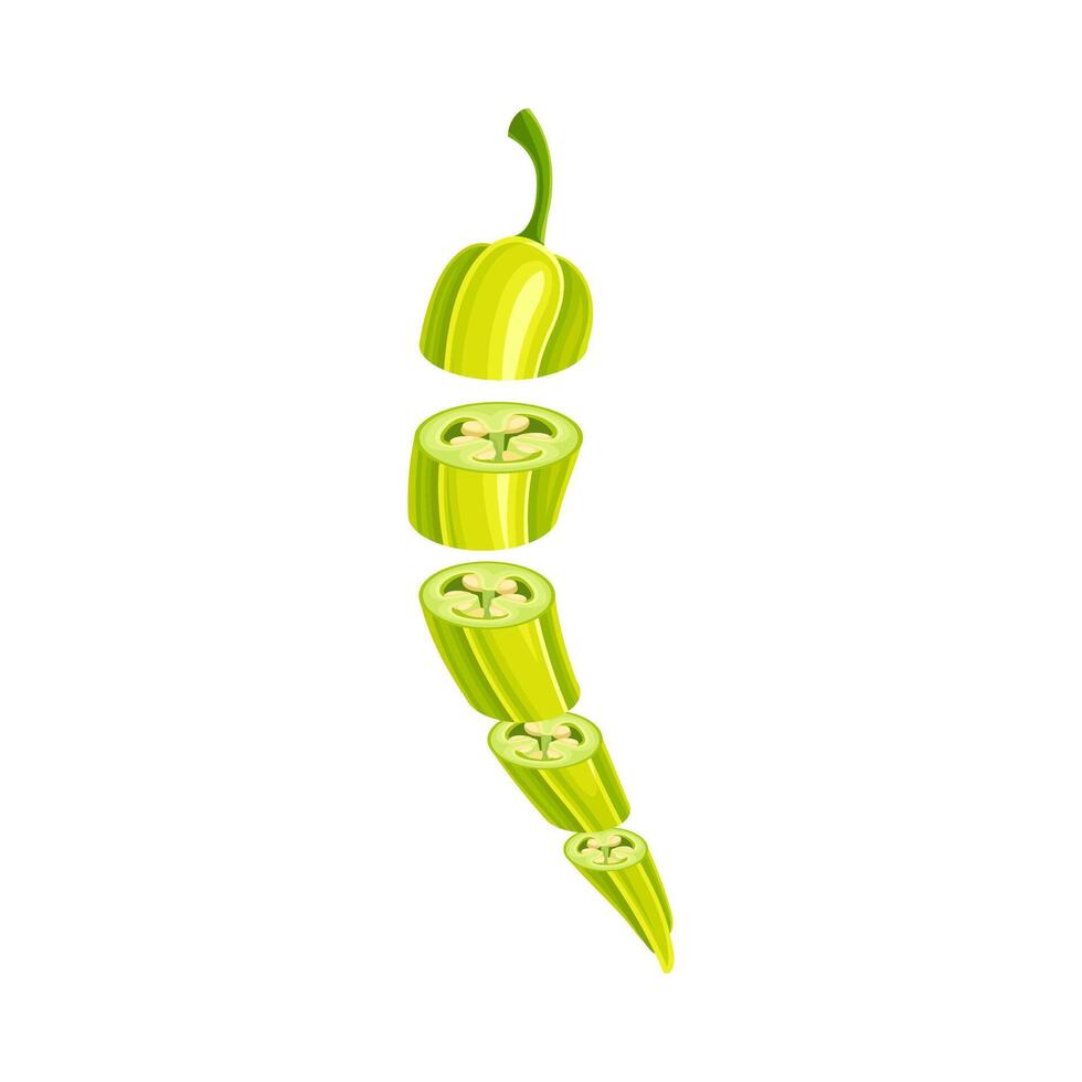 Green chilli pepper slices lying in vertical row. Healthy organic vegetable illustration vector