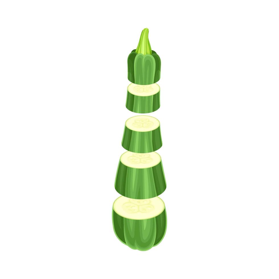 Green zucchini slices lying in vertical row. Healthy organic vegetable illustration vector