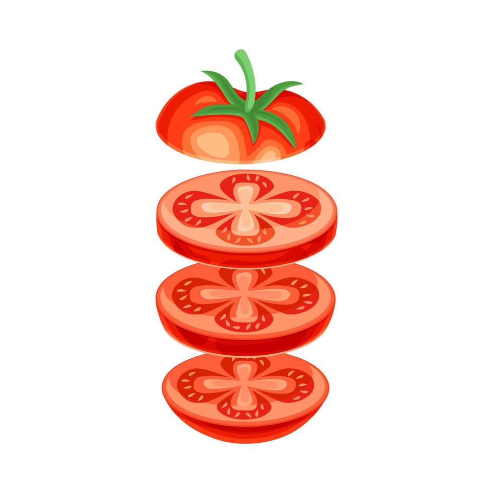 Red ripe tomato slices lying in vertical row. Healthy organic vegetable illustration vector