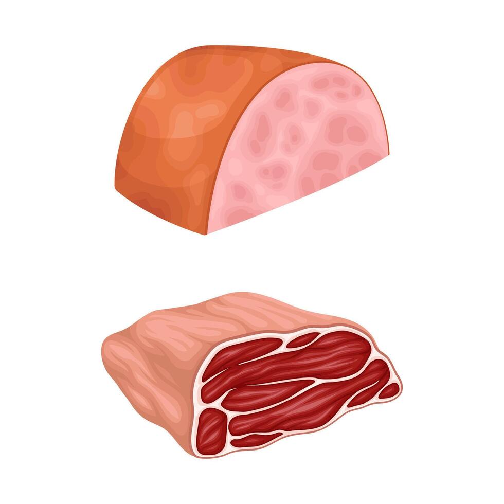 Set of meat products. Butchery meat shop assortment illustration vector