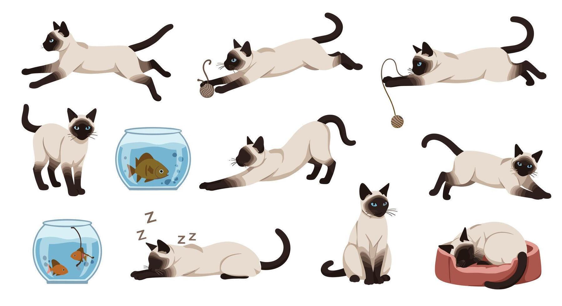 Exploring the Charm of Siamese Cats A Comprehensive Look at Behavior and Care vector
