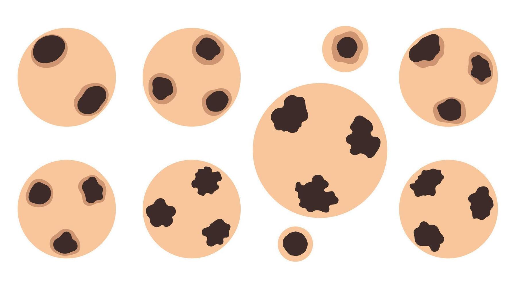 Delicious Homemade Chocolate Chip Cookies A Warm and Sweet Treat from the Oven vector