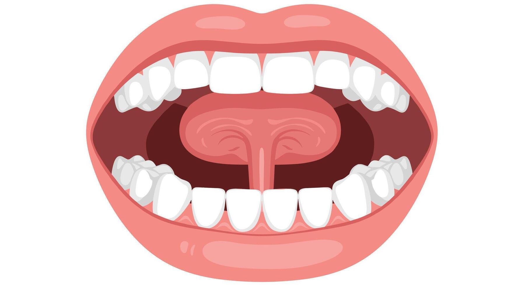 Comprehensive Analysis of Oral Health Anatomy Physiology and Common Disorders for Medical Professionals vector