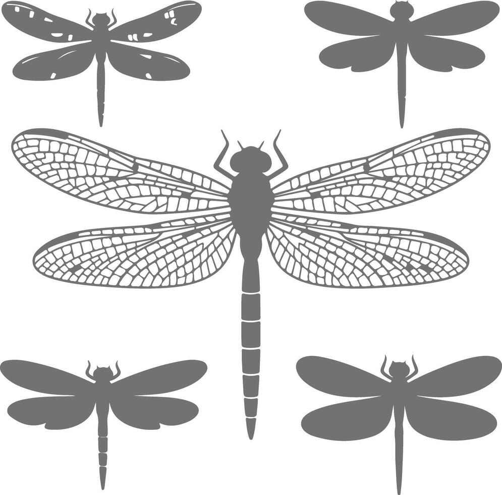 Five Gray Dragonfly Silhouettes Detailed Wing Veins Large Central Dragonfly Smaller Dragonflies Simple Design Nature Insect Graphic vector