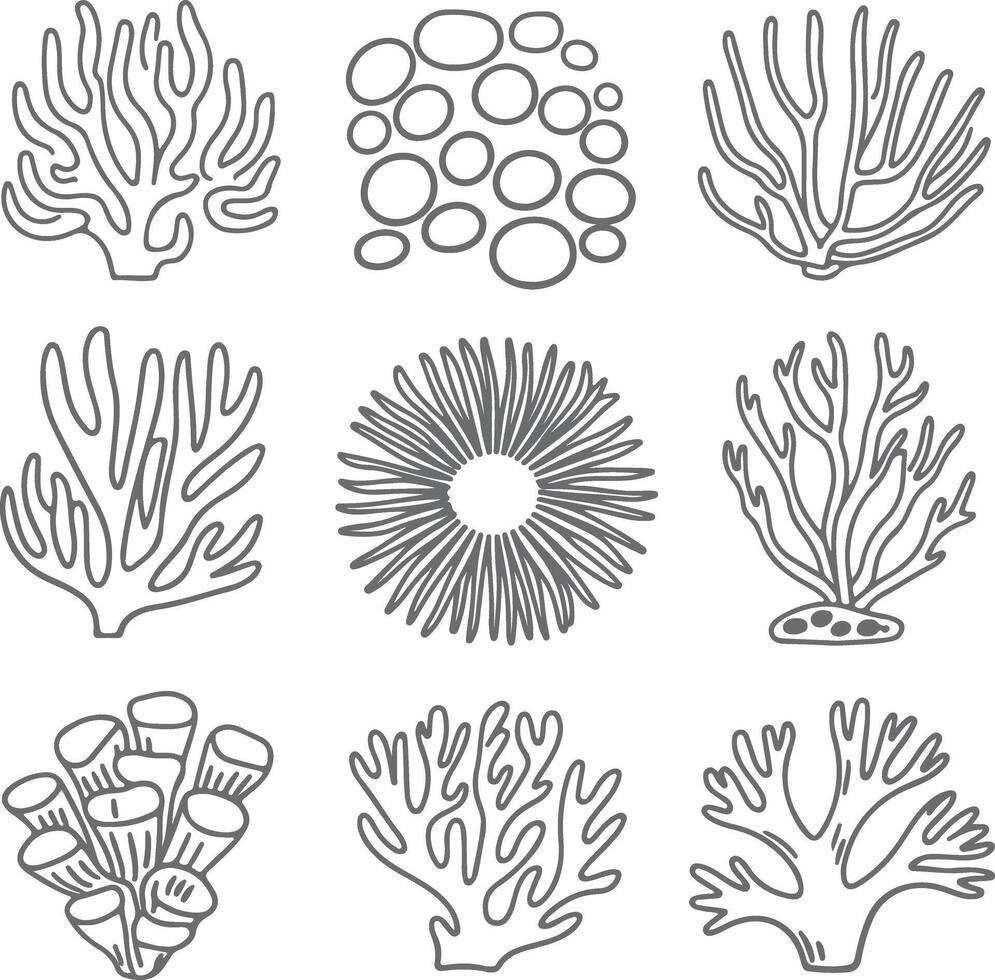 Nine Gray Scale Coral Reef Silhouette Illustrations Diverse Shapes and Styles Hand Drawn Ocean Life Set Underwater Nature Graphic Design Elements vector