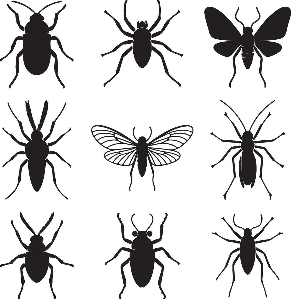 Nine Black Insect Silhouettes Collection Beetle Spider Moth Graphic Design Elements Isolated on White Background Illustration vector