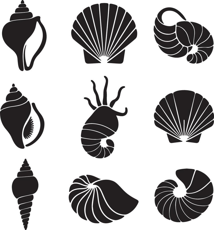 Nine Black Silhouette Seashells Nautical Ocean Collection Graphic Design Elements Illustration vector