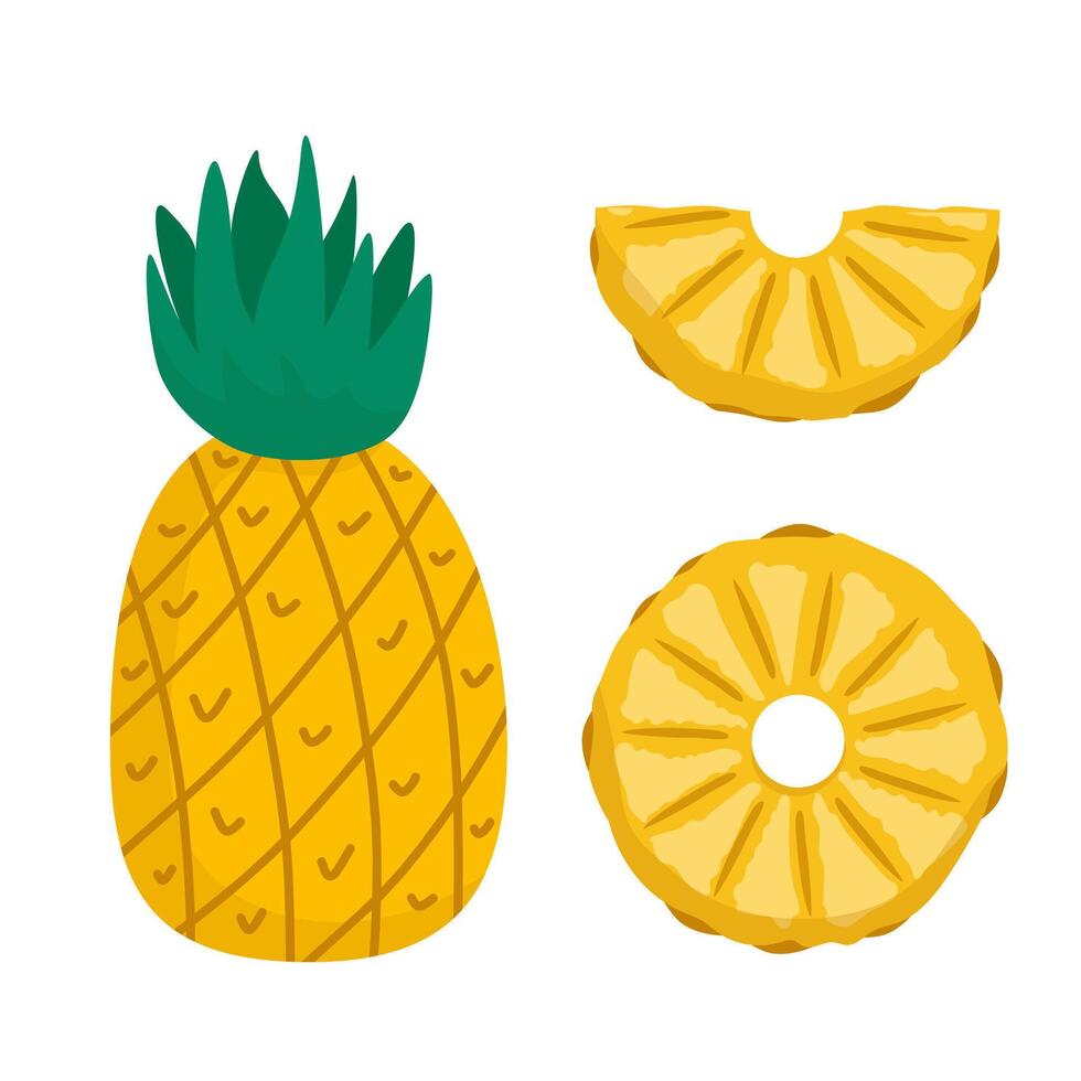 Pineapple Icon Set with Sliced Fruit Elements vector