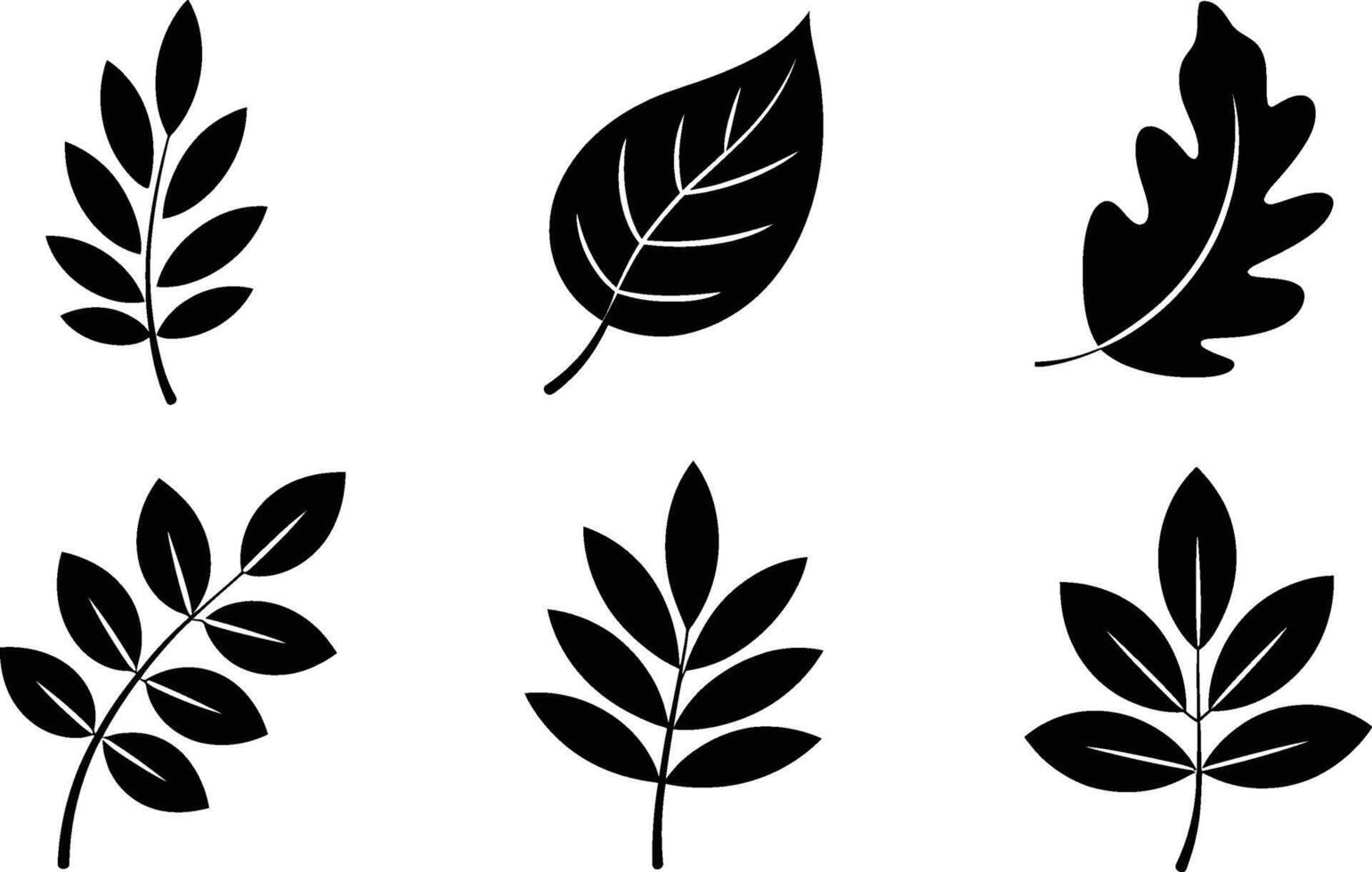 Different types of leaf silhouettes black and white botanical illustration vector
