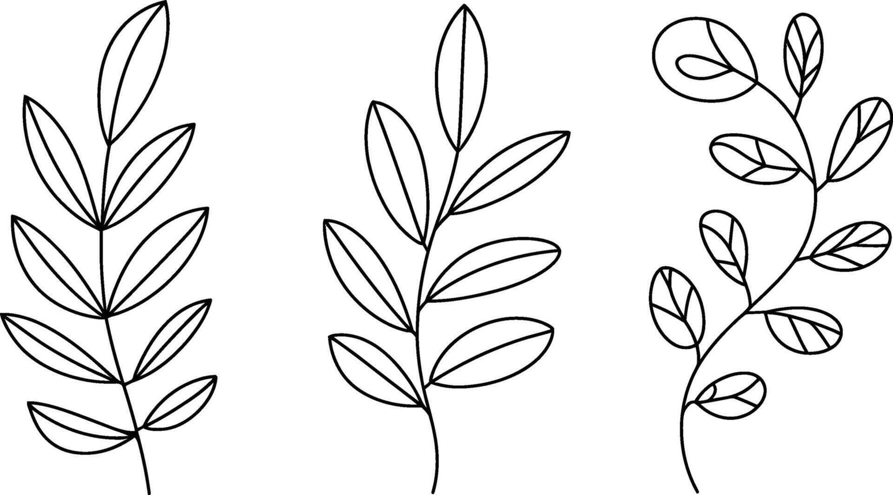 Minimalist botanical line art set three different plant branches vector