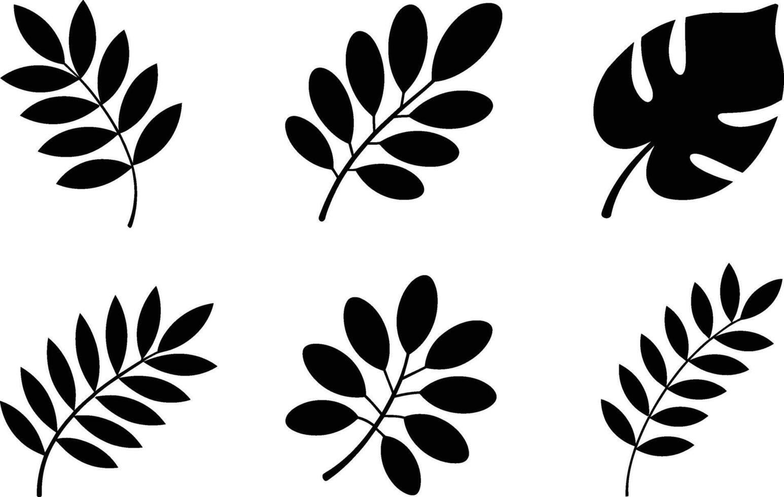 Collection of black silhouette leaves isolated on white background tropical foliage vector
