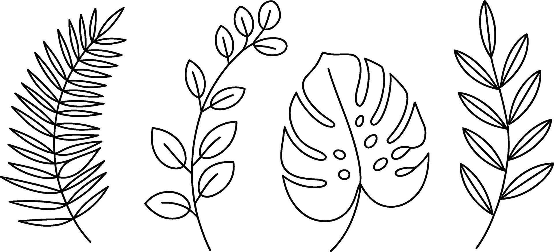 Black and white outlines of tropical leaves and branches illustration design vector
