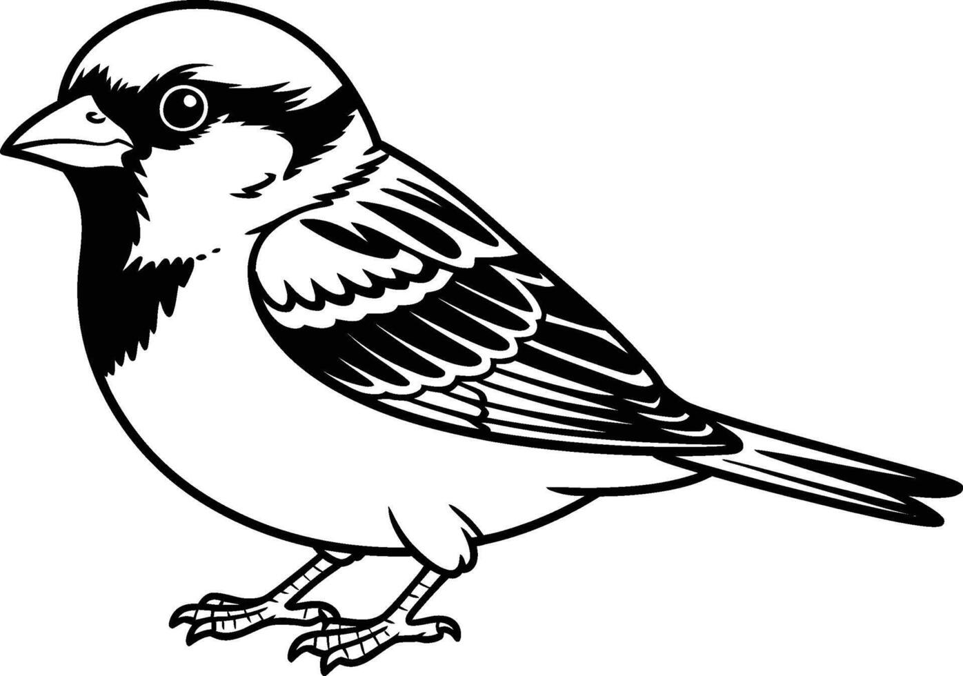 Sparrow bird black and white illustration detailed outline wildlife fauna vector