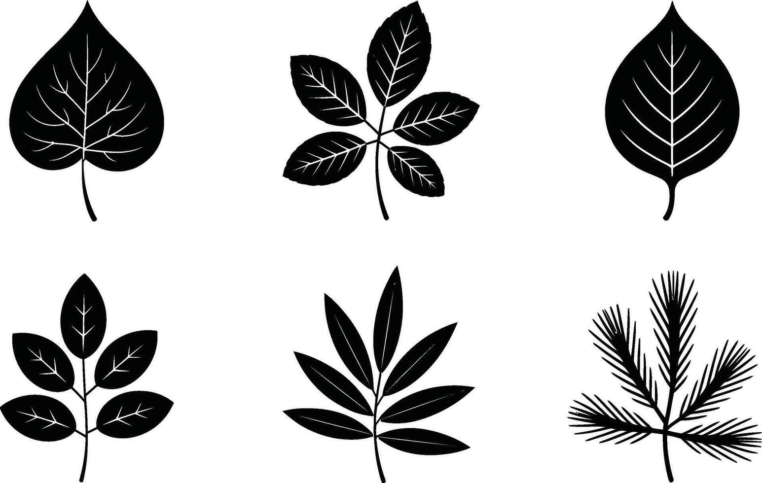 Collection of various black and white leaf illustrations on white background vector
