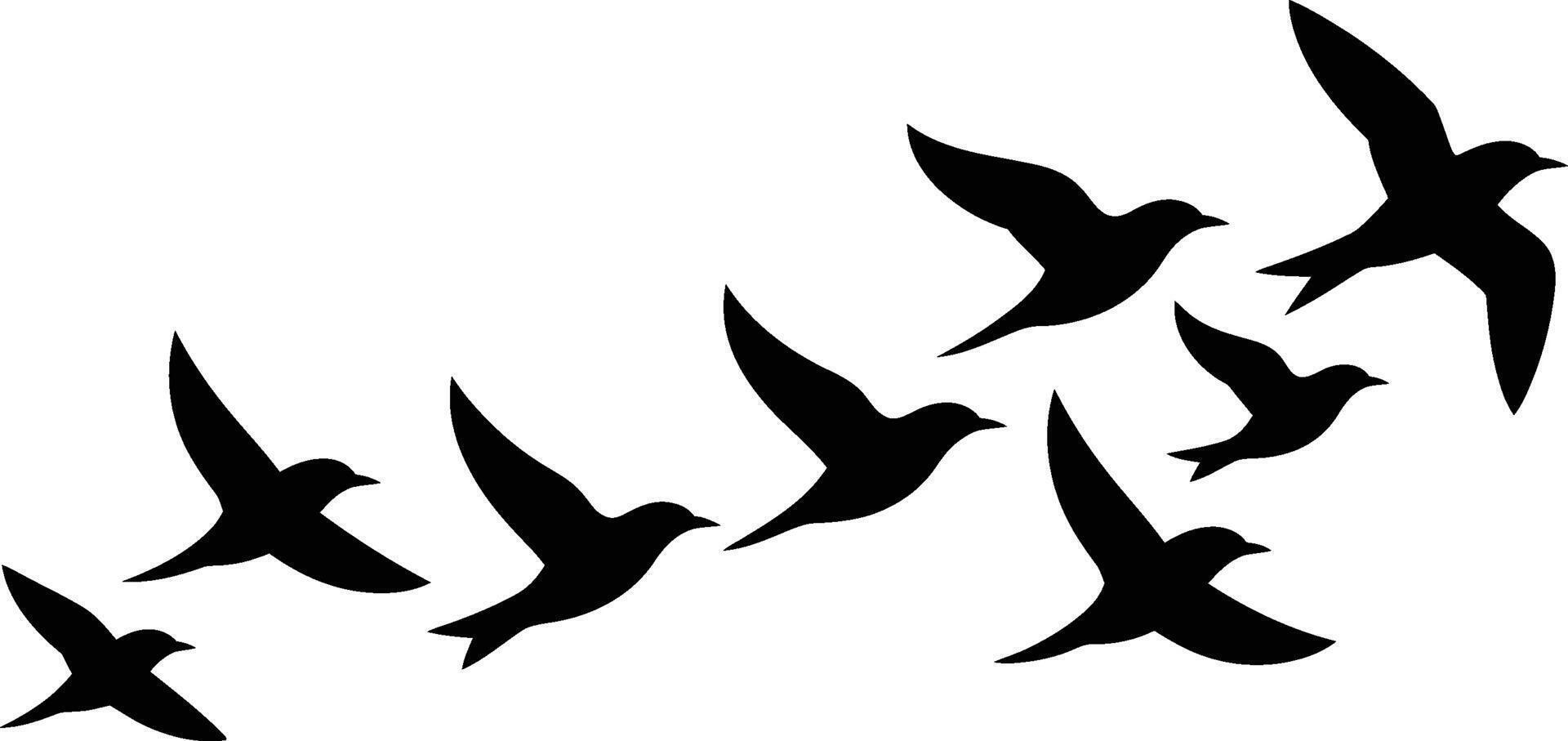 Silhouette illustration of birds flying in formation on a white background vector