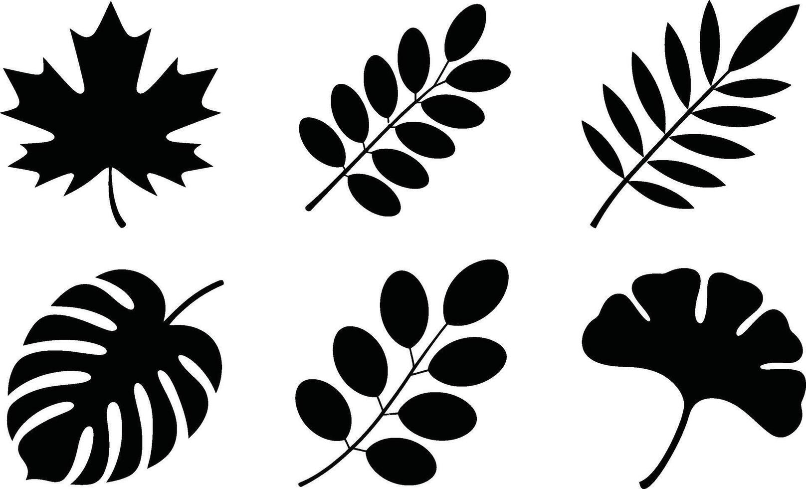 Assorted leaf silhouettes collection botanical foliage design elements isolated set vector