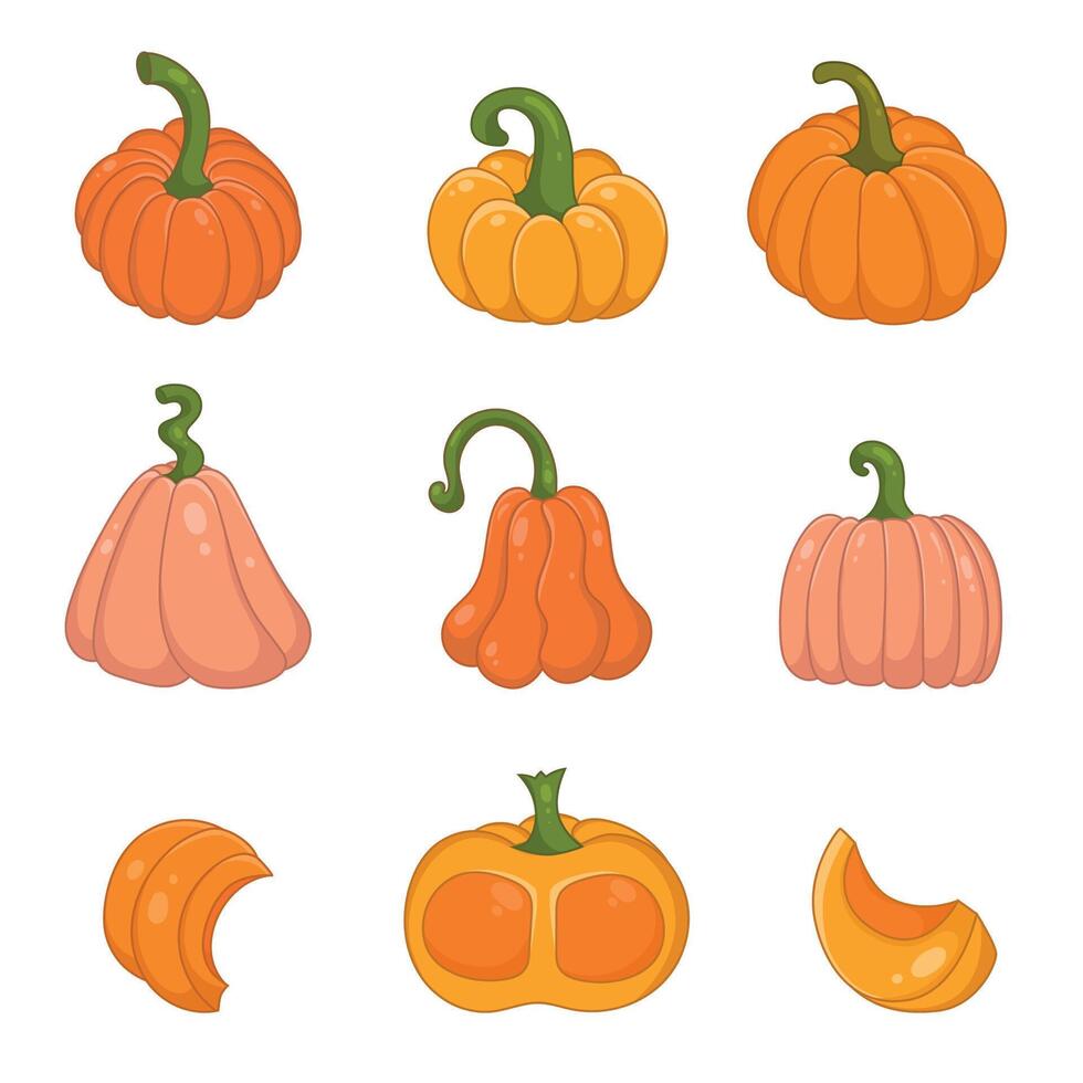 Colorful Squash and Pumpkin Set in Cute Hand Drawn Style with Slices. Decorative harvest vegetables isolated on cream background, perfect for farm, autumn, Thanksgiving designs invitations, cards vector