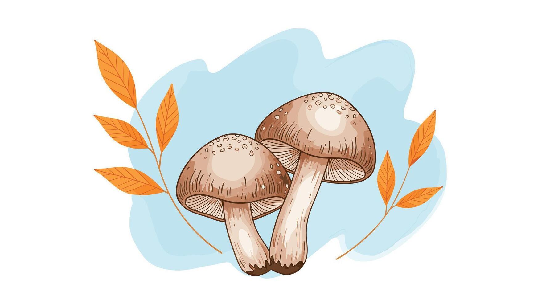 Delightful Woodland Mushrooms An Exploration of Autumn Fungi Nature's Bounty in Fall vector