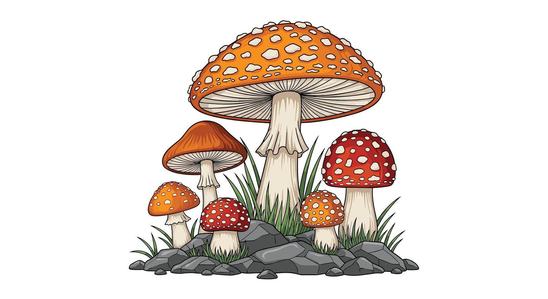 A Fascinating Assortment of Colorful Mushrooms Growing Wildly in a Small Grassy Space vector