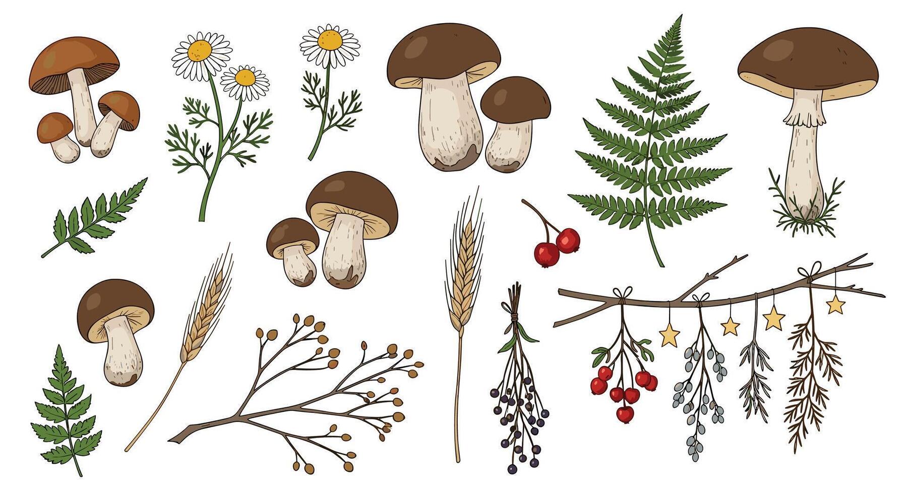 Autumn Forest Still Life with Mushrooms Berries Ferns and Twigs Natural Elements vector