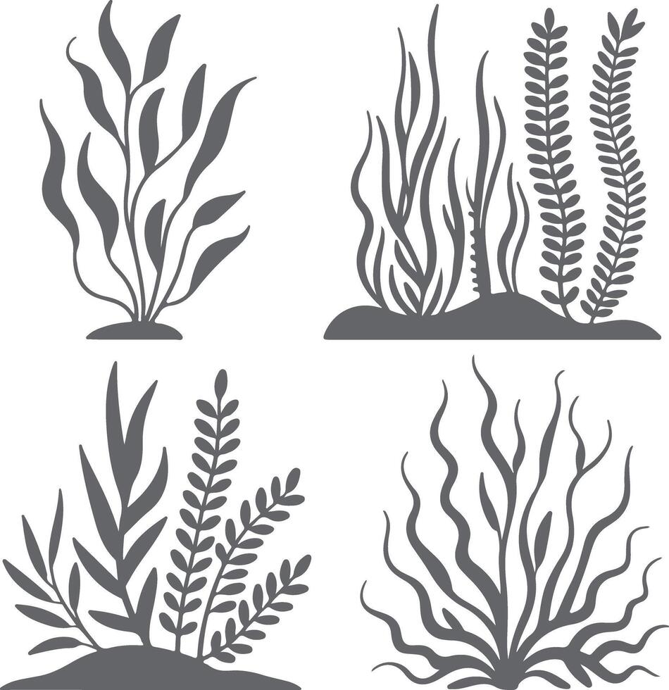 Four Gray Silhouette Aquatic Plant Designs Botanical Illustrations Seaweed Kelp Algae Underwater Flora Grey Scale Nature Graphic Elements vector