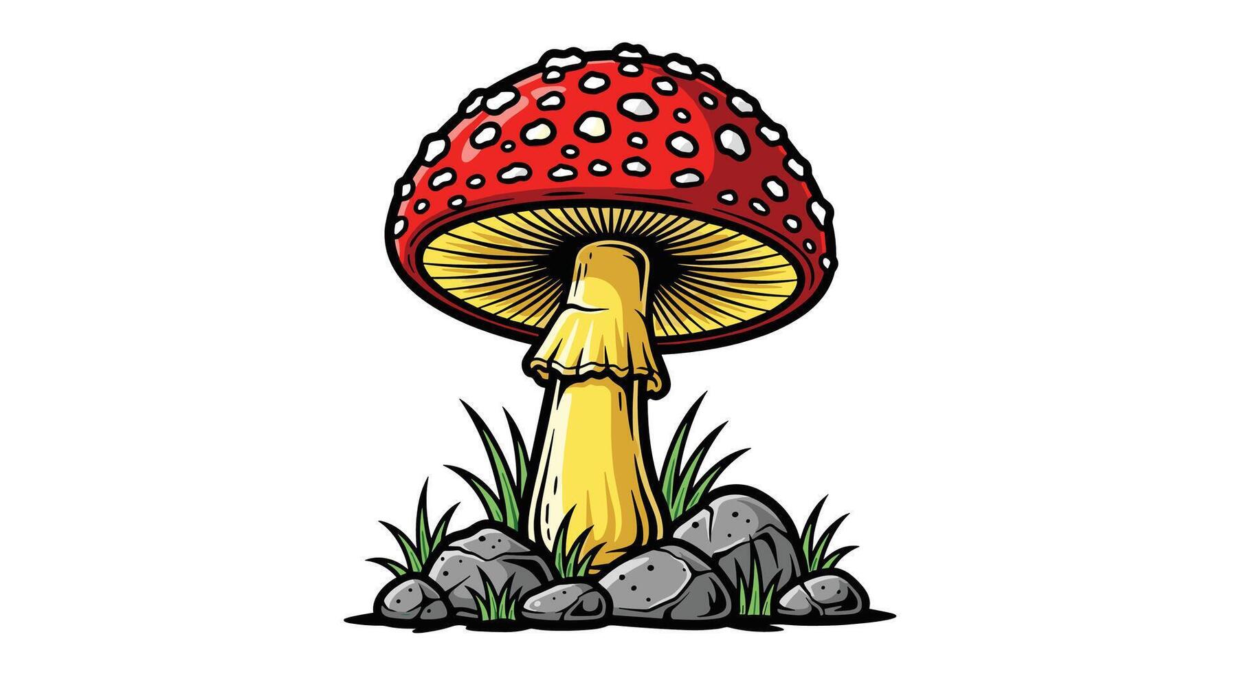 A Fly Agaric Mushroom in Grassy Patch on Rocks with White Background vector