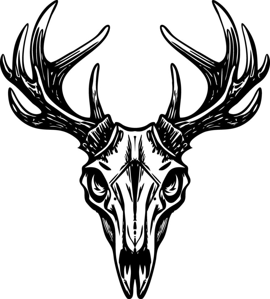 A vintage style illustration showing an elk skull vector