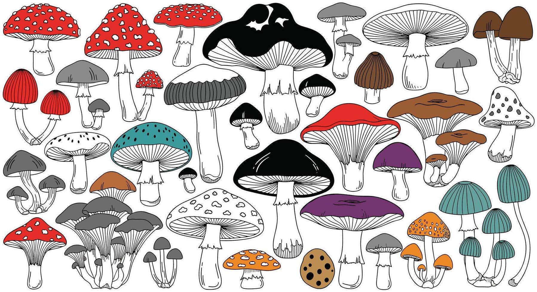 A collection of different types of mushrooms vector