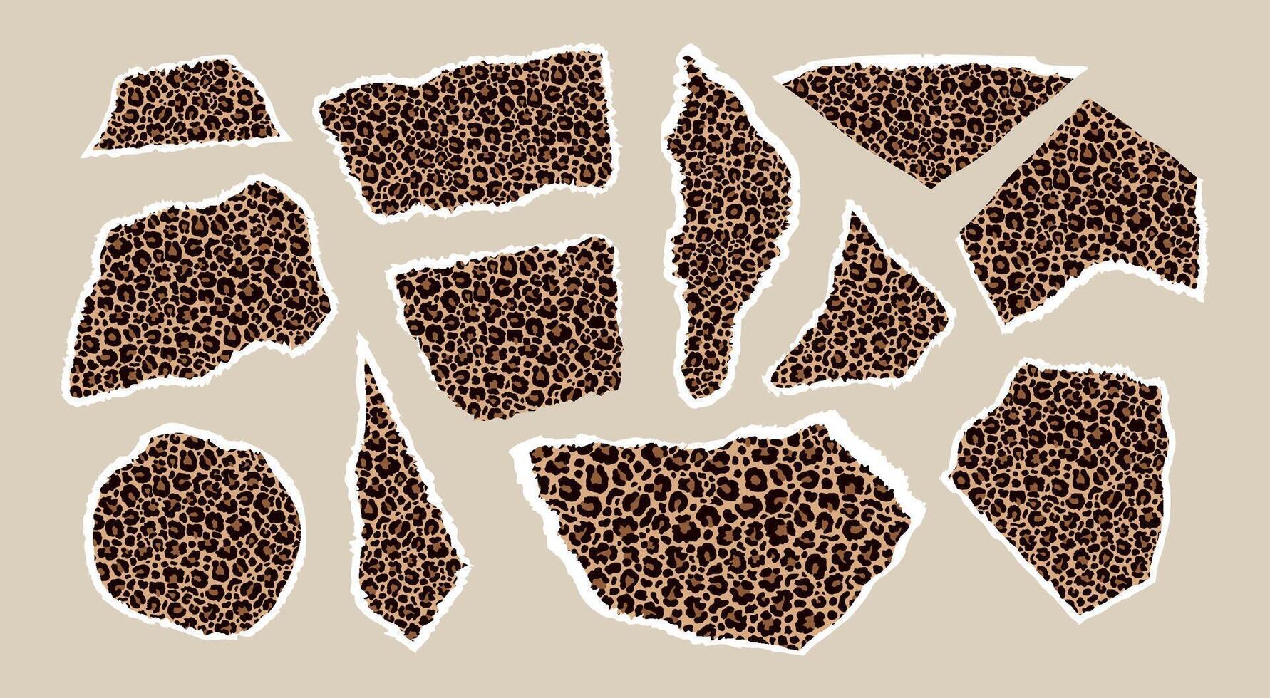 Set of pieces of paper with a leopard print vector