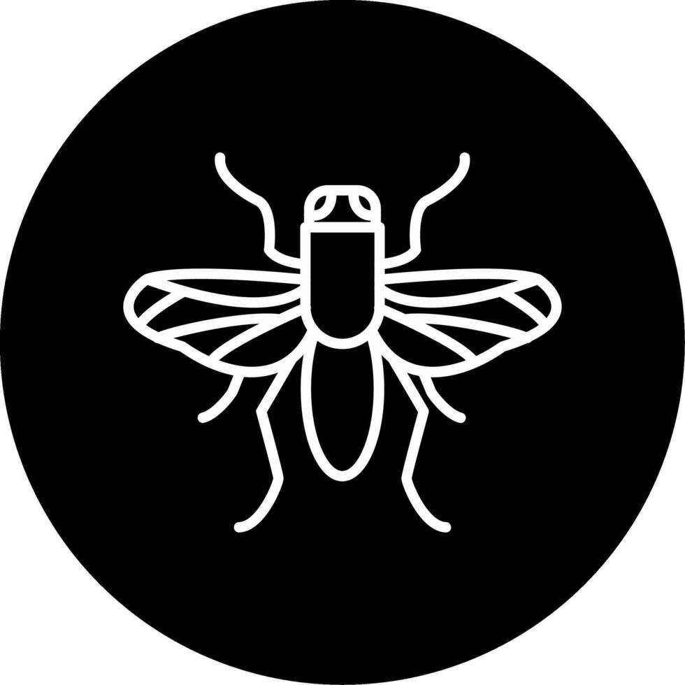 Long Legged Crane Fly vector