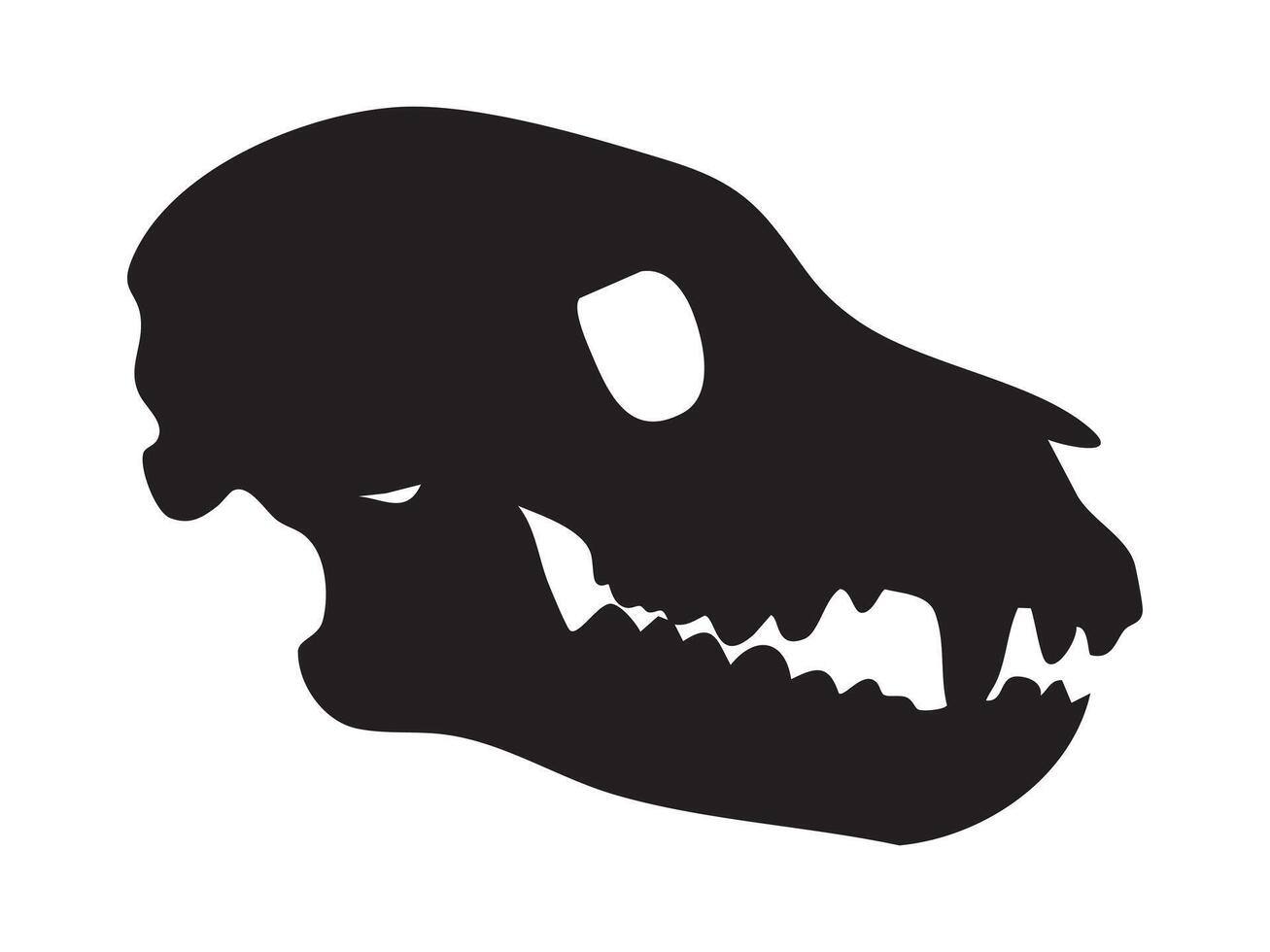 Black silhouette of wolf skull with sharp teeth and long snout, isolated on white background, graphic illustration. Concept of wild canine skeleton, predator skull, nature and hunting design element vector