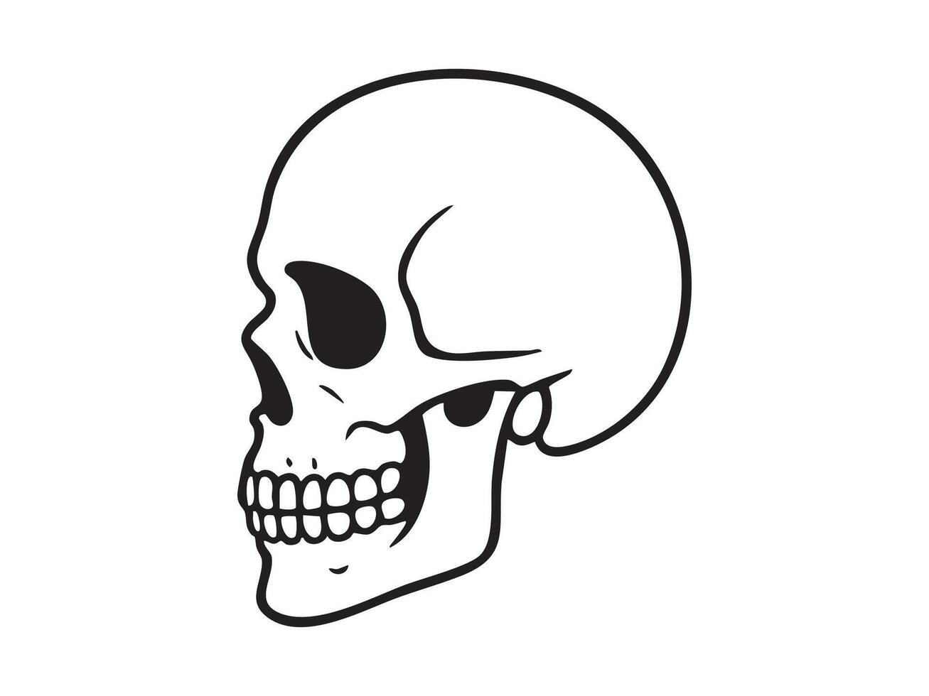 Black outline of human skull in side view, isolated on white background, graphic illustration. concept of anatomy, bone structure, science education, medical icon, halloween decor, death symbol vector