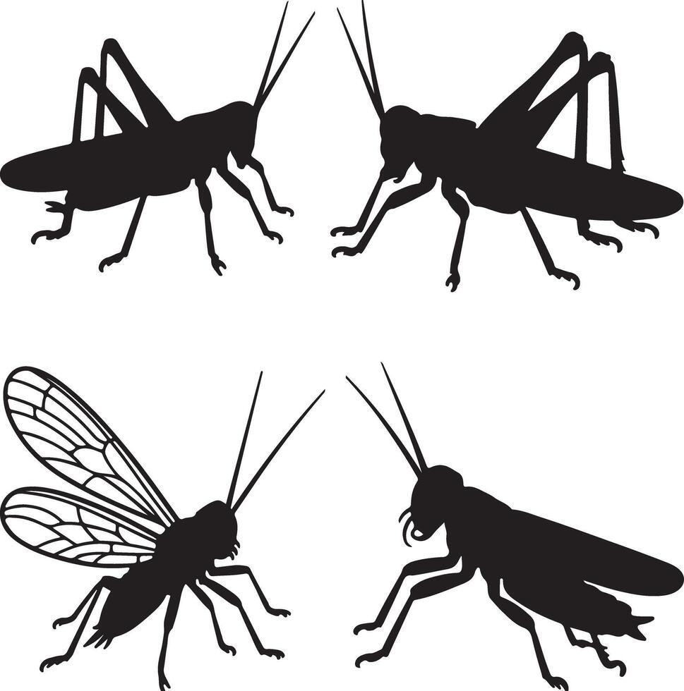 Four Black Silhouette Insects Grasshoppers and a Fly Detailed Illustrations Isolated on White Background vector