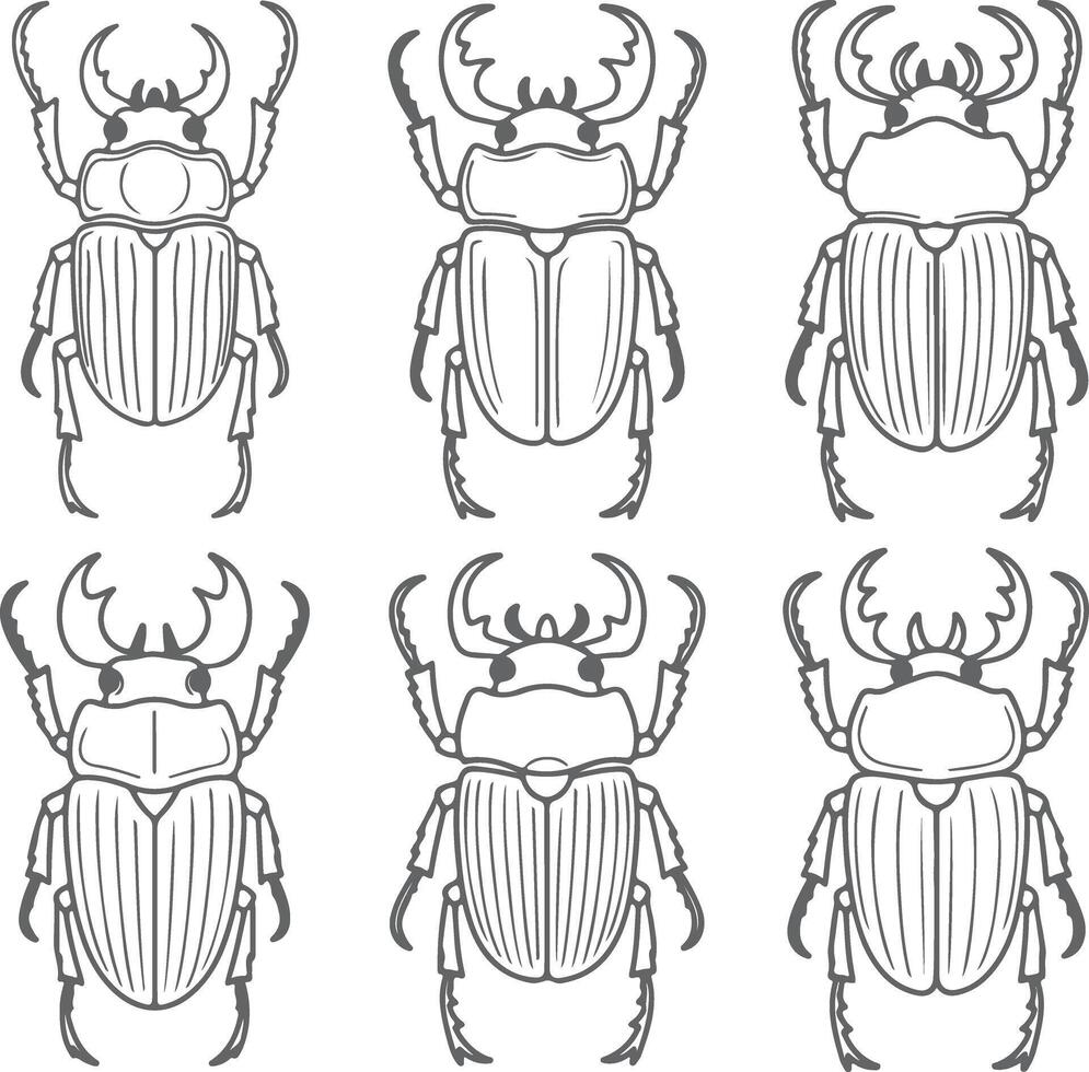 Six Gray Silhouette Drawings of Rhinoceros Beetles Detailed Line Art Illustrations Insect Collection Entomology Study Guide vector