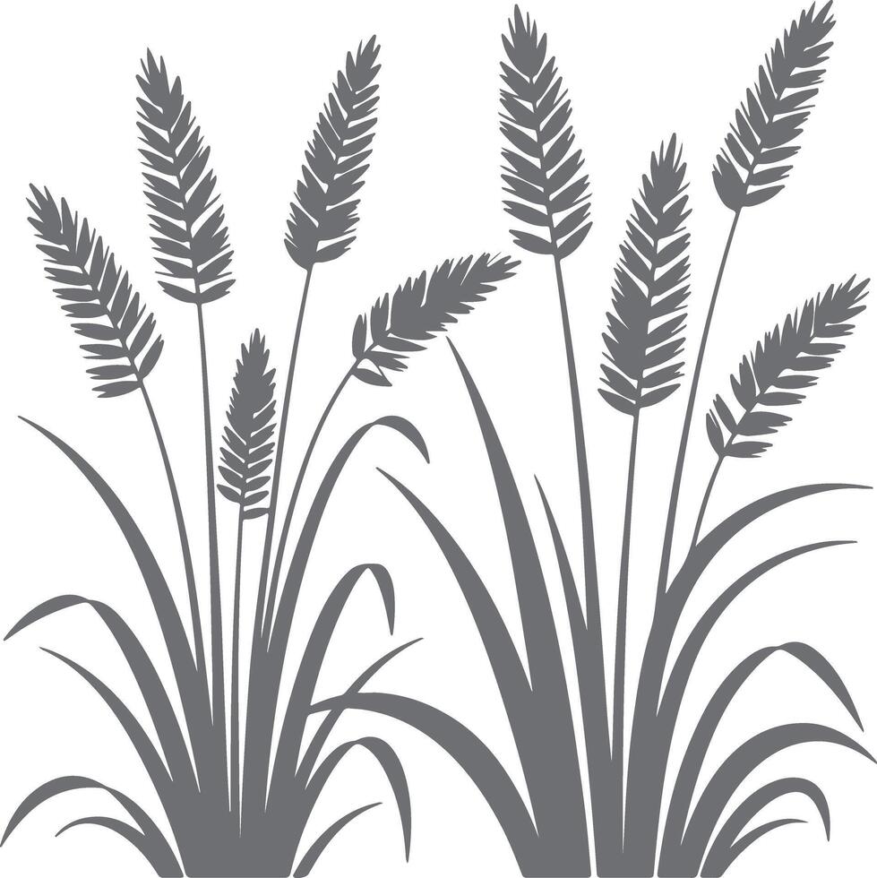 Gray Silhouette of Tall Grass and Wheat Stalks on White Background Simple Nature Illustration Botanical Design Element vector