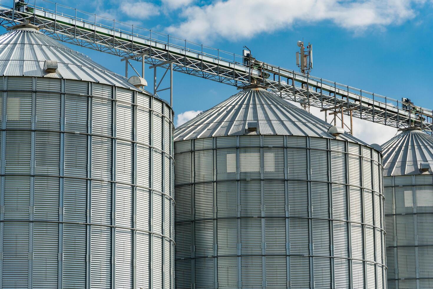Modern steel agricultural grain granary silos. Agricultural warehouse. Agro industry photo