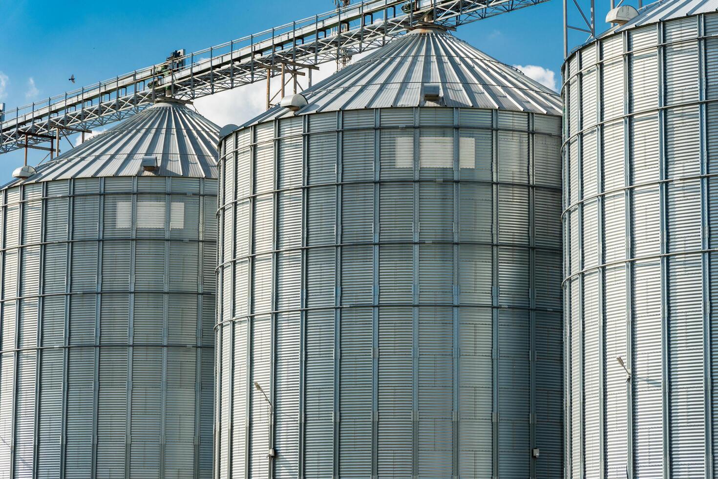 Grain storage. Agricultural silos for storage harvest. Agribusiness photo