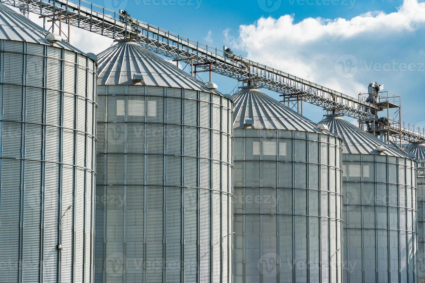 Agricultural Silos for storage and drying of grains. Agricultural silos for storage of grain harvest at an agricultural production farm. Agribusiness photo