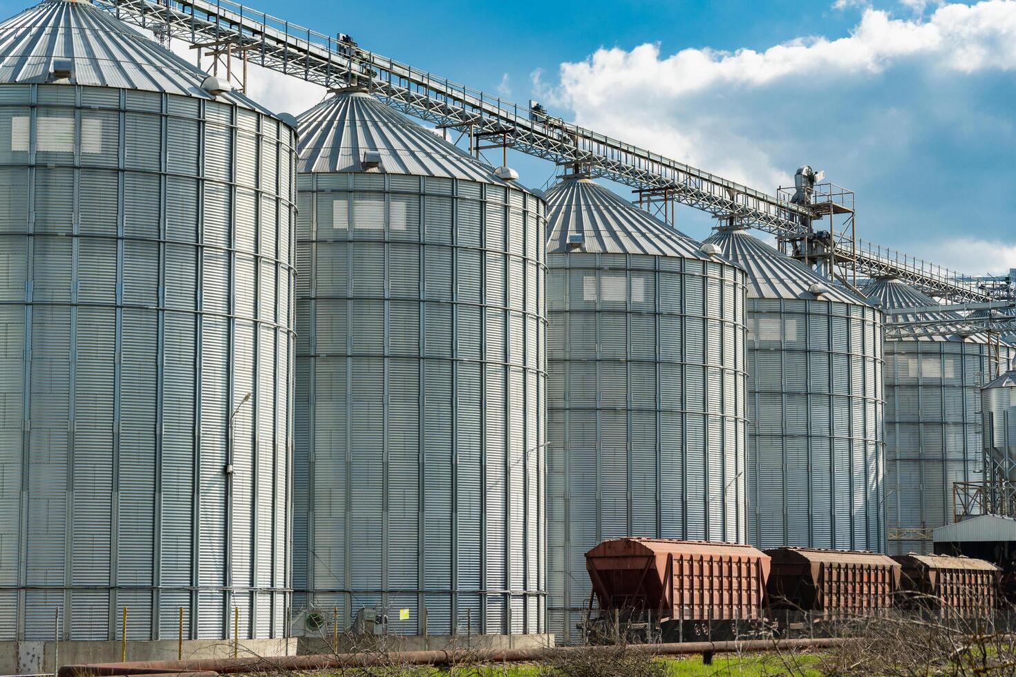 Silos for storage and drying of grains, wheat, corn, soy. Agricultural warehouse. Loading and transportation of agricultural products by railway. Agribusiness photo