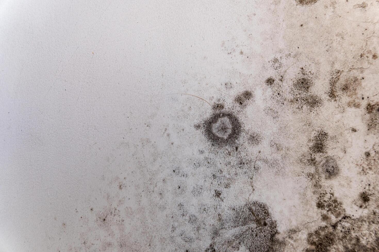 A close-up of a white wall affected by black spots of fungus. Wet and damp wall with black spots of fungus photo